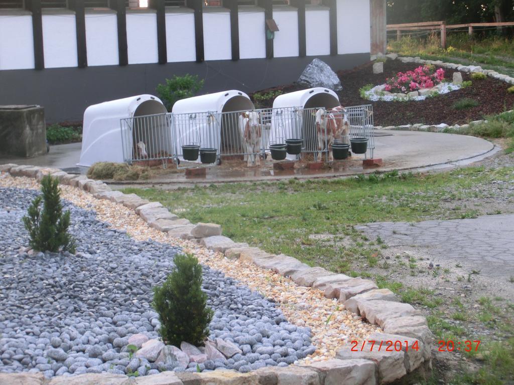 Bio Ferienhof Heiler Feldkirchen Westerham Bagian luar foto