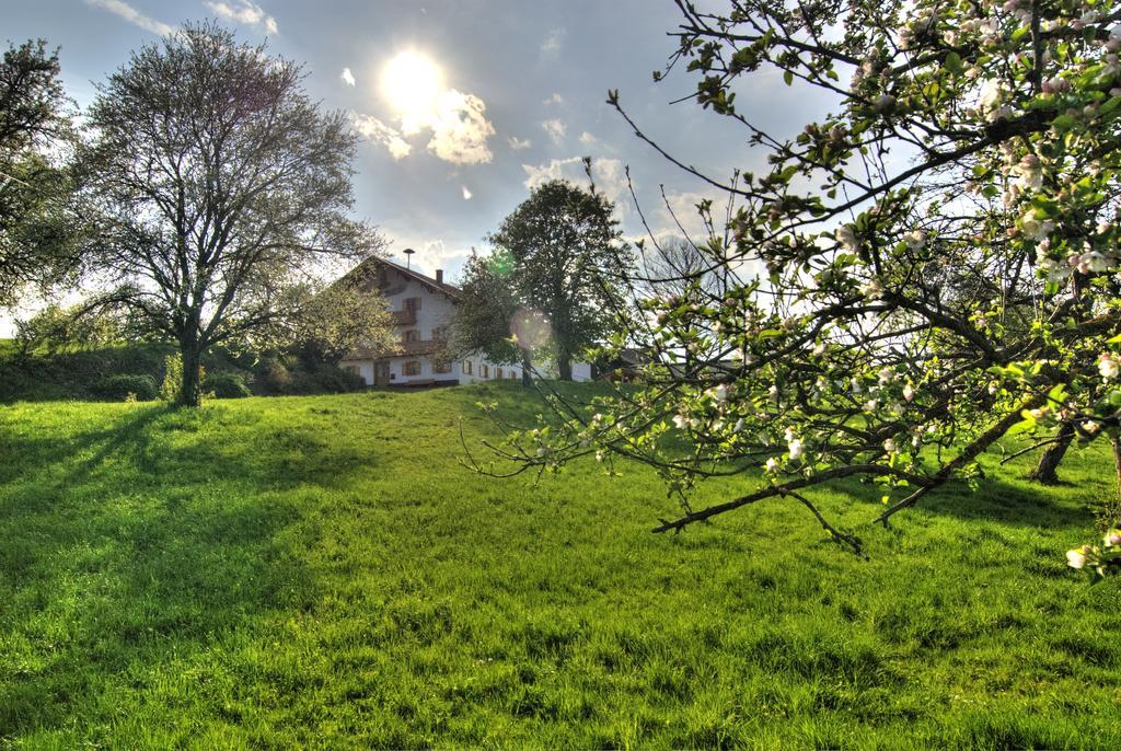 Bio Ferienhof Heiler Feldkirchen Westerham Bagian luar foto